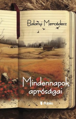 Balanyi Mercédesz - Mindennapok apróságai