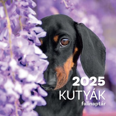 Kutyák falinaptár - 2025