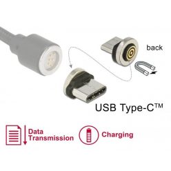 DeLock Magnetic USB Type-C male adapter