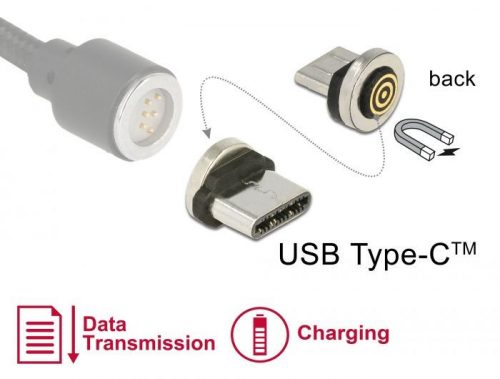 DeLock Magnetic USB Type-C male adapter