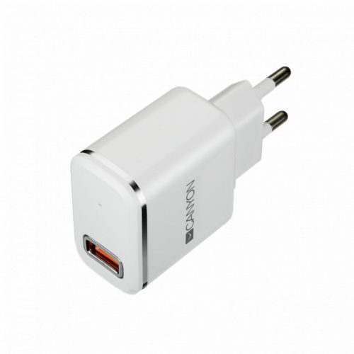 Canyon CNE-CHA043WS Smart & Safe Single-USB Wall Charger White/Silver