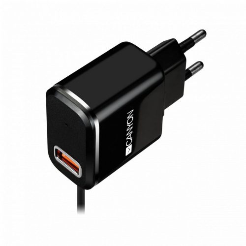 Canyon CNE-CHA041BS Smart & Safe Single-USB Wall Charger Black