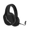 Zalman HPS700W Wireless Heaset Black