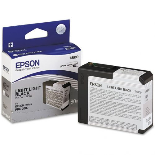 Epson T5809 Light Light Black