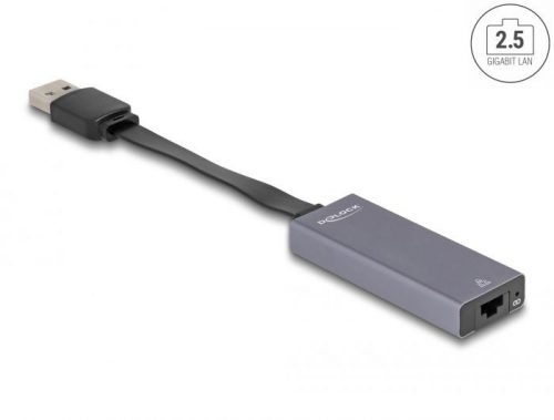 DeLock USB Type-A Adapter to 2.5 Gigabit LAN slim