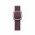 Apple Watch 41mm Modern Buckle Band Mulberry