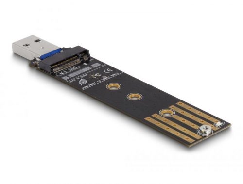 DeLock Combo Converter for M.2 NVMe PCIe or SATA SSD with USB 3.2 Gen 2