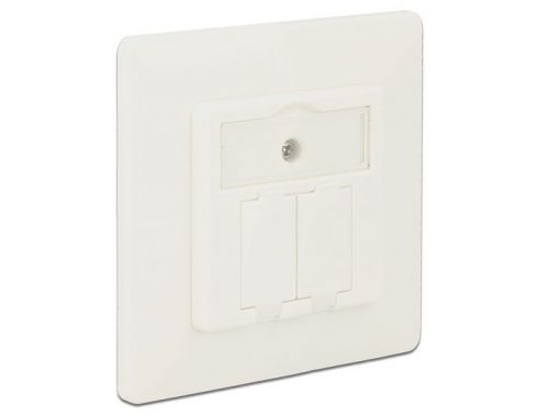 DeLock Keystone Wall Outlet 2 Port compact