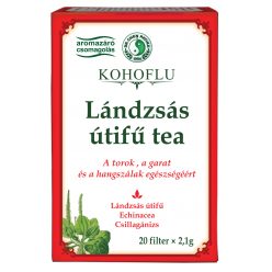 Dr.chen kohoflu lándzsás útifű teakeverék 20x2,1g