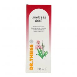 DR.THEISS LÁNDZSÁS ÚTIFŰ 250 ML