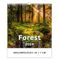 Falinaptár képes 340 × 325 mm Forest Dayliner 2024.