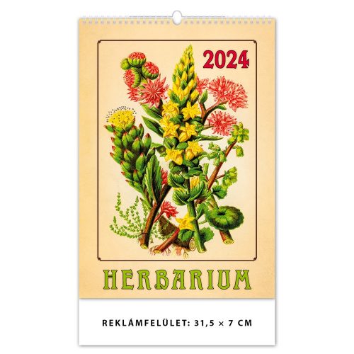 Falinaptár képes 315 × 450 mm Herbarium Dayliner 2024.