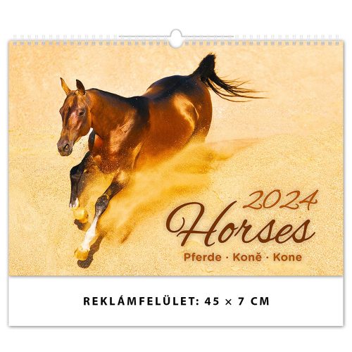 Falinaptár képes 450 × 315 mm Horses Dayliner 2024.