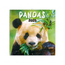   Falinaptár képes lemeznaptár 300x300mm, Pandas Realsystem 2025.