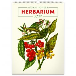   Falinaptár képes  330×460mm Vintage Posters-Herbarium Realsystem 2025.