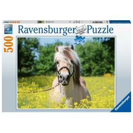 Ravensburger: Puzzle 500 db - Ló a repcemezőn