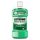 LISTERINE 500ML FRESHBURST