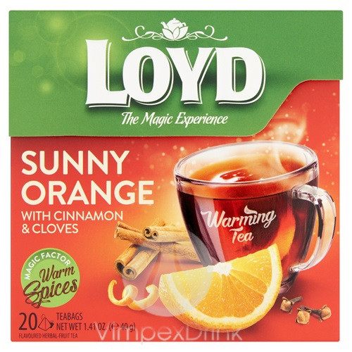 Loyd Hot tea Narancs -Fahéj 20*2g