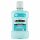 Listerine 1l Cool Mint Mild Taste