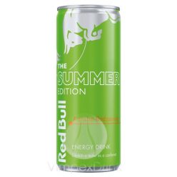 RED BULL SUMM. KURUBA-BODZAVIRáG 250ML